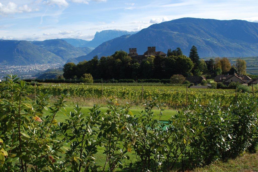 Haus Romen Affittacamere Appiano Sulla Strada Del Vino Esterno foto